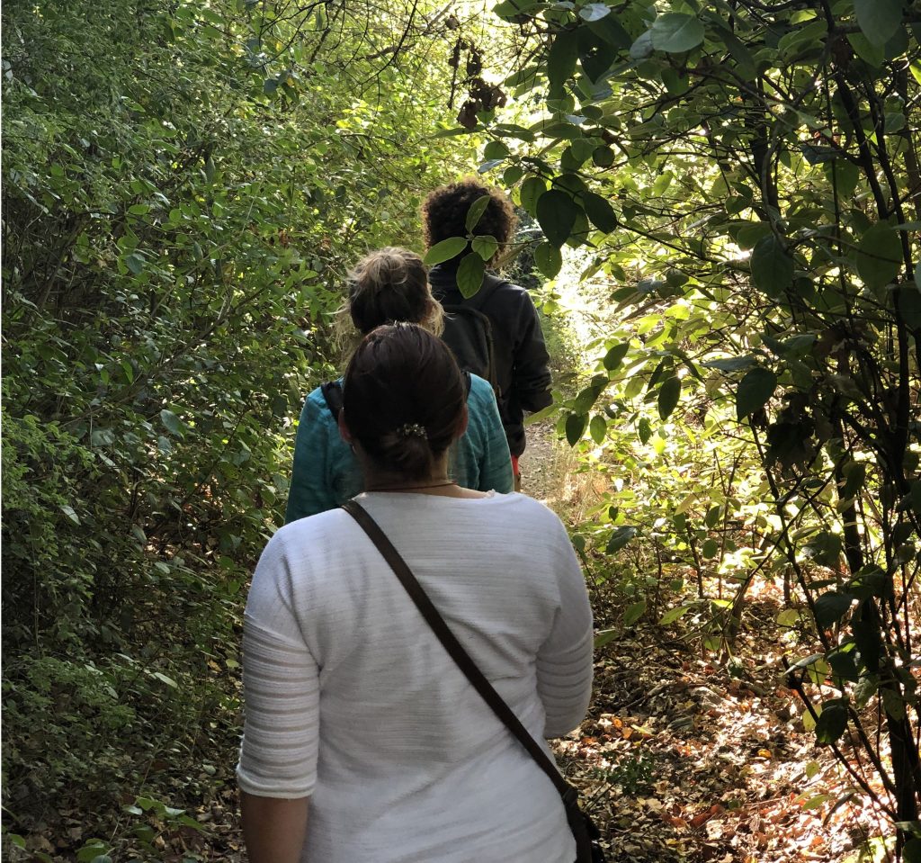 Balade en foret